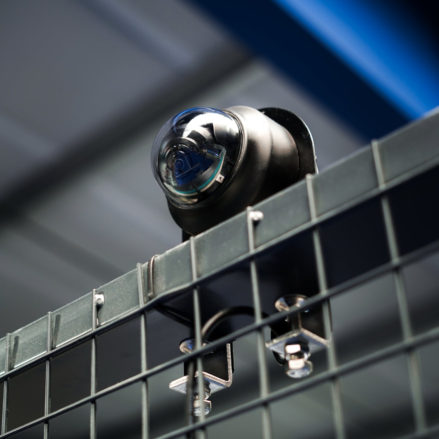 Wingfield Baseline Cam